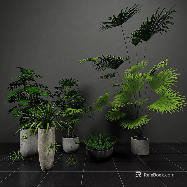 Modern Indoor Bonsai Potted Plants With Various Green Foliage And Ceramic Pots 3d model 