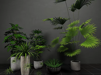 Modern Indoor Bonsai Potted Plants With Various Green Foliage And Ceramic Pots 3d model