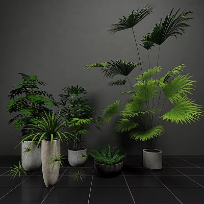 Modern Indoor Bonsai Potted Plants With Various Green Foliage And Ceramic Pots 3d model