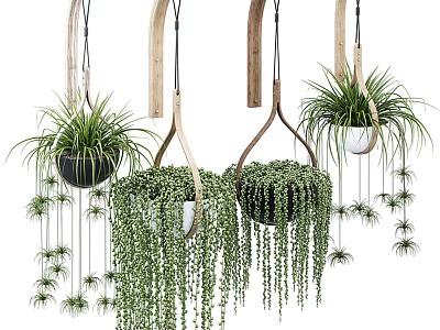 Indoor Hanging Basket Plants With Wooden Metal Planters And Trailing Vines 3d model