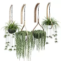 Indoor Hanging Basket Plants With Wooden Metal Planters And Trailing Vines