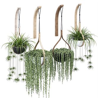 Modern hanging basket plant hanging basket 3d model