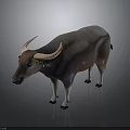 Realistic Buffalo With Curved Horns Dark Gray Light Brown Body White Legs On Gray Background