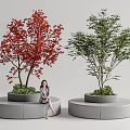 Round Landscape Seats With Red And Green Leaf Trees And Woman Sitting