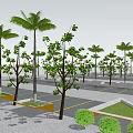 Landscaped Parking Lot With Palm Trees Yellow Lines And Blue Parking Sign