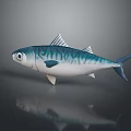 Blue And White Striped Fish 3D Rendered Aquatic Animal On Dark Background With Reflection