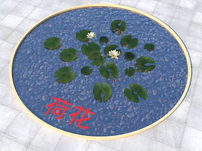 Beautiful Lotus Flowers In Circular Pond With Green Leaves And Pebbles On Water Surface 3d model