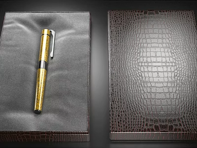 Luxury Gold Pen Placed in Leather Box with Crocodile Pattern Texture Accessory 3d model
