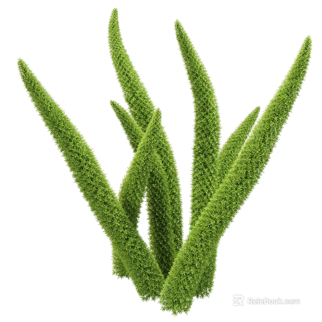 Green Fluffy Slender Stemmed Ornamental Grass Clump For Decorative Garden 3d model 