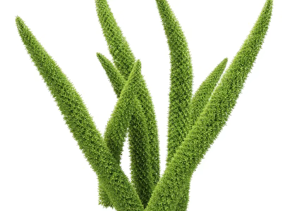 Green Fluffy Slender Stemmed Ornamental Grass Clump For Decorative Garden 3d model