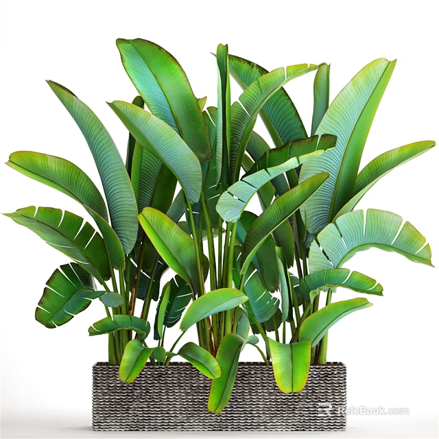 Tropical Decorative Ornament Set With Large Green Leaves And Woven Pot For Indoor Decoration 3d model 