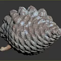 Natural Pine Cone With Pinkish Gray And Blue Bumpy Textured Surface And Scaly Details