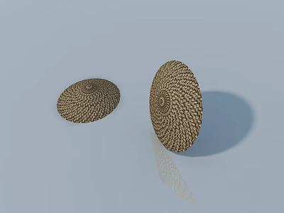 Swing Door With Woven Texture Circular Pattern And Natural Color Design 3d model