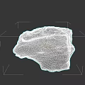 Detailed Natural Rock Microtopography With Rough Surface And Textured Structure