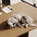 Sleeping Tabby Cat On Wooden Table With Coffee Cup And Newspaper