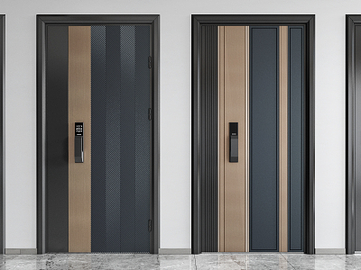 Modern security door entry door combination model