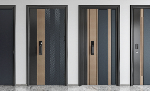 Modern security door entry door combination 3d model