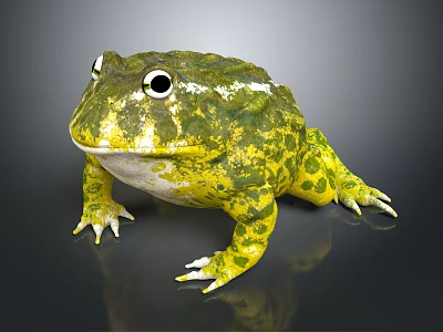 Green and Yellow Spotted Frog with Large Eyes on Shiny Gray Surface 3d model
