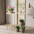 Stylish Garden Decor Featuring Golden Plant Stand Colorful Flower Pots And Green Plants
