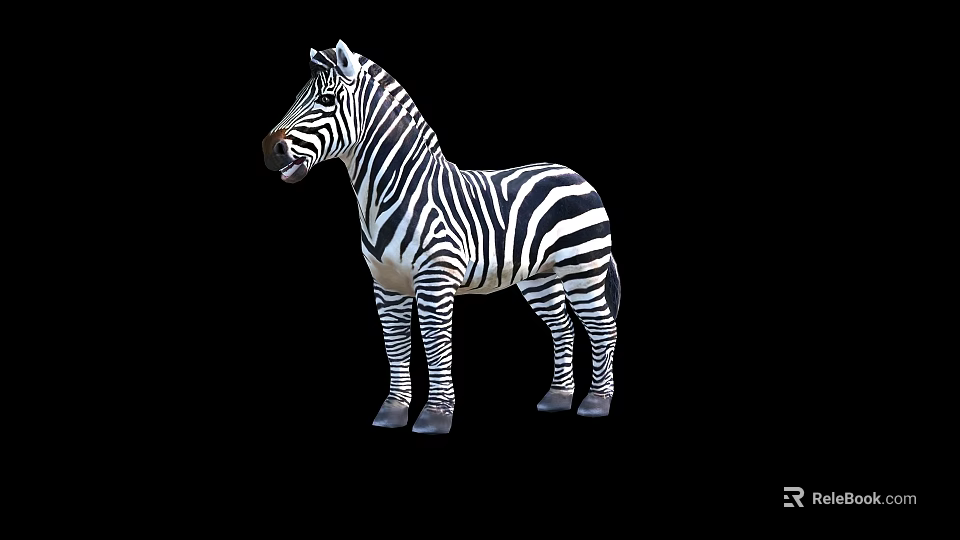 Black And White Striped Zebra Standing In Full Body View On Black Background 3d model 