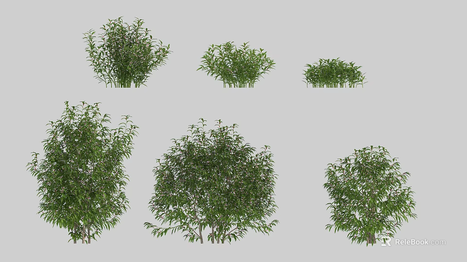 Various Green Garden Shrubs With Different Sizes And Foliage Types 3d model