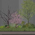 Three Tall Trees with Green and Purple Leaves Surrounded by Grass and Shrubs