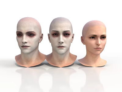 Three Hairless Human Head Models With Detailed Facial Organs And Features 3d model