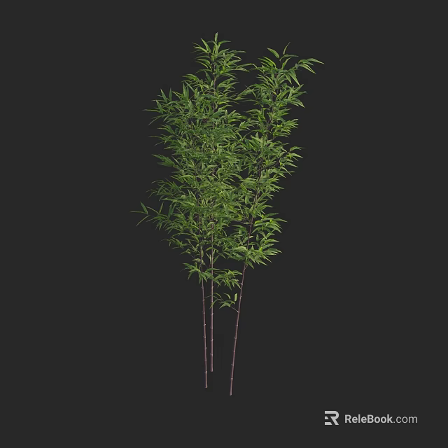 Green Bamboo Plants With Fresh Leaves And Brown Stems On Black Background 3d model 