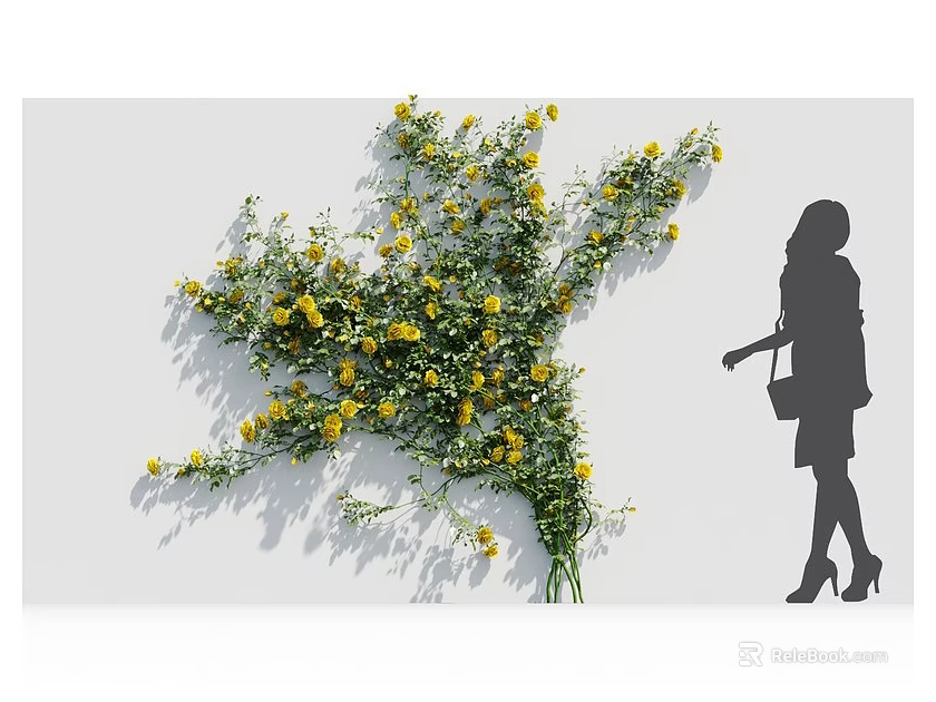 Yellow Floral Display Against White Background With Woman Silhouette And Green Foliage 3d model 