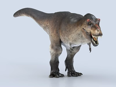 Tyrannosaurus Rex Dinosaurs Jurassic Cretaceous Triassic Ancient animals Prehistoric animals 3d model