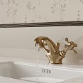 Golden TOTO Faucet on White Sink with Floral Wallpaper and Tiles