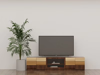 Stylish Living Room Interior With Large Screen TV Wooden Stand Golden Drawers And Indoor Plant 3d model