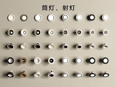 Various Designs Downlights And Spotlights Arranged For Interior Lighting 3d model