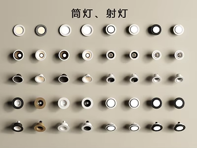 Modern Downlight Spotlight Downlight Spotlight 3d model
