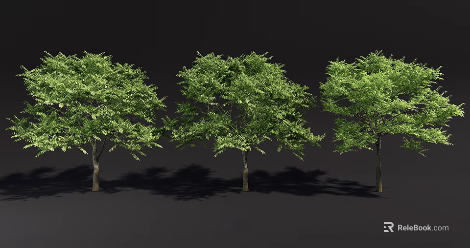 Multiple Arbor Trees Arranged In Row With Lush Green Foliage And Natural Shadows 3d model 