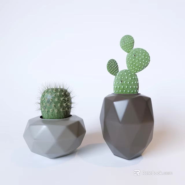 Bonsai Potted Cactus Plants in Geometric Gray and Dark Gray Planters for Home Decor 3d model 