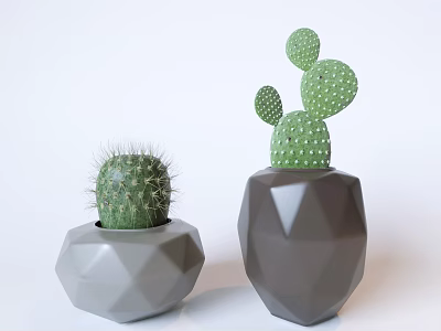 Bonsai Potted Cactus Plants in Geometric Gray and Dark Gray Planters for Home Decor 3d model