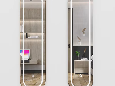 Sleek Modern Full Length Mirror Reflecting Interior Bookshelf Plant And Side Table Decor 3d model