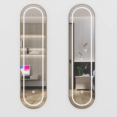 Sleek Modern Full Length Mirror Reflecting Interior Bookshelf Plant And Side Table Decor 3d model