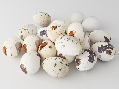 Fresh Organic Quail Eggs With Brown Spots On White Shell For Healthy Meals 3d model