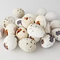 Fresh Organic Quail Eggs With Brown Spots On White Shell For Healthy Meals
