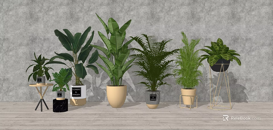 Various Indoor Potted Plants With Different Green Leaf Types And Stylish Planters 3d model 