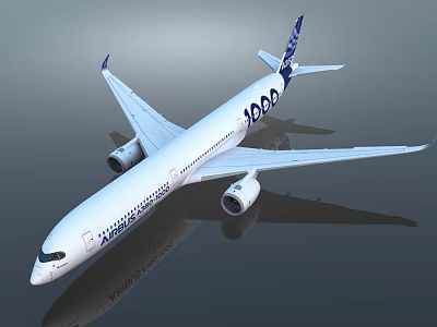 Airbus 1000 Passenger Aircraft With White Fuselage And Blue Tail Fin 3d model