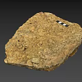 Ancient Fossil Specimen With Textured Brownish Yellow Surface And Black Squares