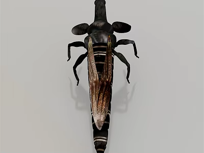 Flying Insect With Brown Wings Long Legs And Black Segmented Body Featuring Antennae 3d model