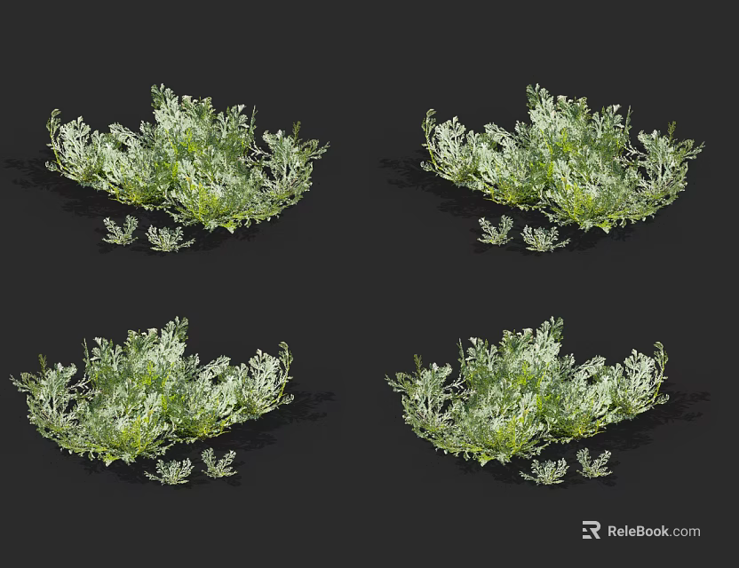 Bushy Silver Green Leaf Shrubs For Decorative Garden Landscape Design 3d model 