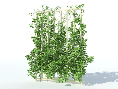 Lush Green Vines Climbing On Wooden Trellis For Outdoor Garden Design 3d model