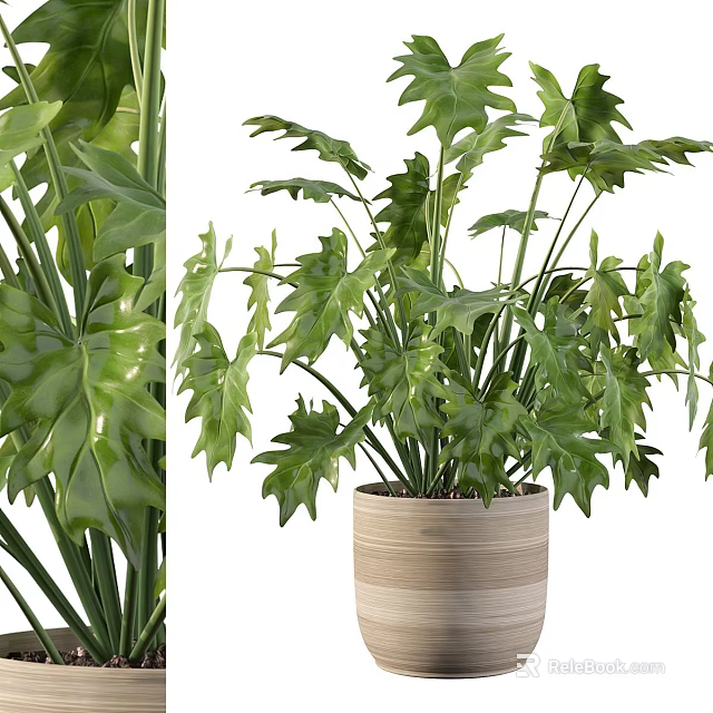 Fresh Lush Green Leafy Decorative Garden Potted Plant In Bamboo Planter For Indoor 3d model 