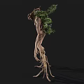 Tree Like Monster With Root Limbs Branch Antlers And Green Foliage