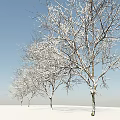 Snow Covered Arbor Trees With Frosted Branches In Winter Landscape 3d model